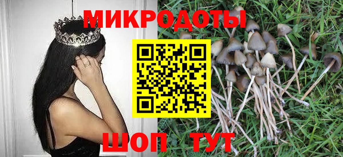 Галлюциногенные грибы ЛСД  Галлюциногенные грибы мухоморы  Вход с VPN  Клин 