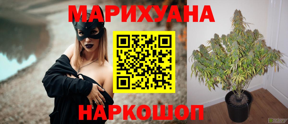 Шишки марихуана White Widow Клин